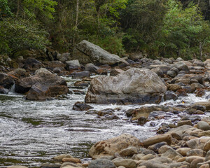 Tropical rocky river bed 