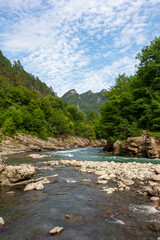 Summer, river, mountainous terrain, tourist routes running through the park, a place for walking and recreation.
