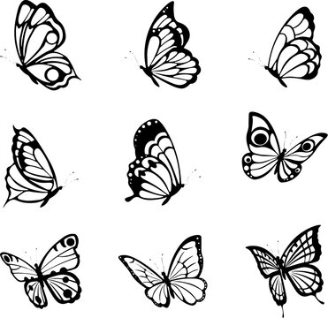Black tattoo butterflies. Farfalle insects etching drawings, decorative isolated butterfly silhouette graphics