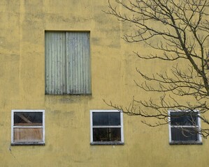 Vintage Fassade mit Fenstern , Pflanzen und Heutür