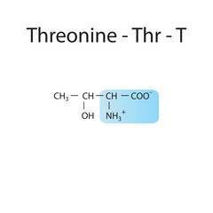 Threonine - Thr - T amino acid structure. Skeletal formula with amino group highlighted in  blue. Scientific illustration.