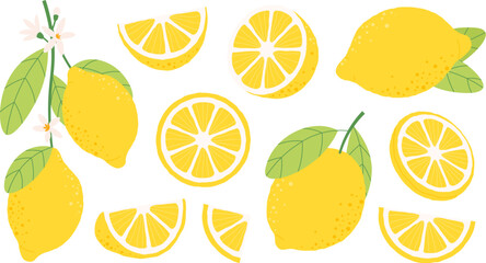 Isolated lemon fruits, different citrus half and slices. Yellow fruit for lemonade, cartoon fresh and organic juicy raw ingredients racy vector set