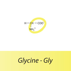 Obraz premium Glycine - Gly - G amino acid structure. Skeletal formula with amino group highlighted in yellow marker. Scientific illustration.