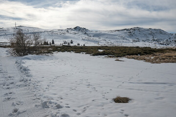 Winter landscape of Vitosha Mountain, Bulgaria