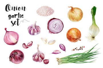 Watercolor painting of onion and garlic set isolated on white background, closeup, botanical illustration.