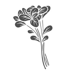 Garden cress glyph icon vector illustration. Stamp of curly cress leaf on branch, edible herb and summer grass sprouts for cooking healthy salad, organic food ingredient and natural greens leaves