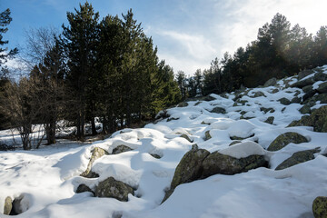 Fototapeta na wymiar Winter landscape of Vitosha Mountain, Bulgaria
