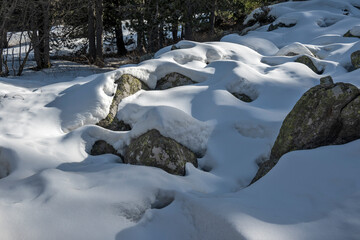 Fototapeta premium Winter landscape of Vitosha Mountain, Bulgaria