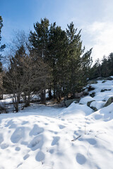 Winter landscape of Vitosha Mountain, Bulgaria