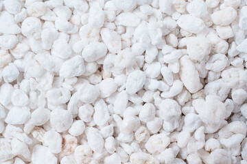 Perlite for plants. neutral material of volcanic origin