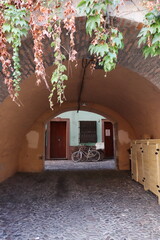 Bicycles leaning against the driveway of a home, viewed through an arched structure.