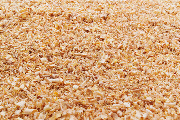 sawdust and shavings. material for agriculture. mulch 