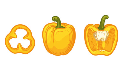 Obraz premium Yellow bell pepper, vector illustration. Whole, half and slice of pepper.