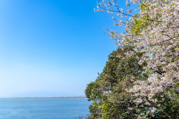 江の島から見える風景
