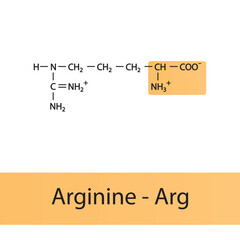 Arginine - Arg - R amino acid structure. Skeletal formula with amino group highlighted in  orange. Scientific illustration.