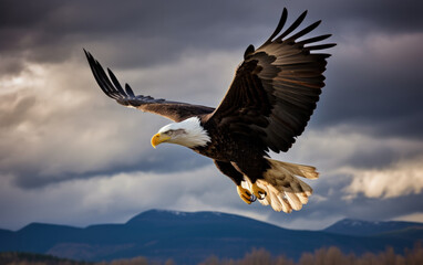 Obraz premium Bald eagle soaring in the sky with wings spread wide. The background is mountain. Generative AI
