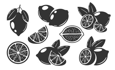 Lemons icons set isolated on white background. Simple style. Vector illustration