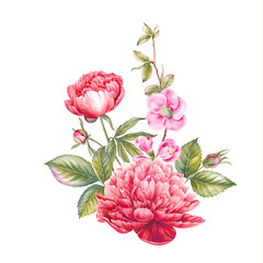 Red watercolor peony. Floral isolated illustration.