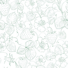 Strawberry seamless pattern. Vector botanic.