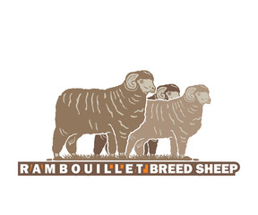 RAMBOILLET SHEEP BREED LOGO, silhouette of great ram standing vector illustrations