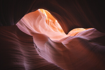 Gold Fish  - Antelope Canyon, Arizona