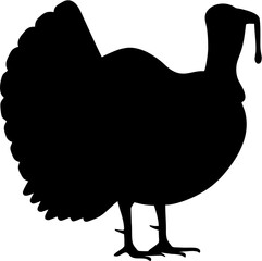 birds silhouette, turkey vector, birds illustration