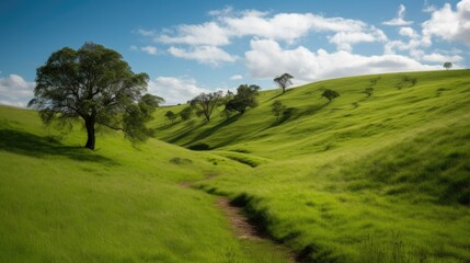 Fototapeta na wymiar Illustration landscape with green grass and blue sky. generative ai