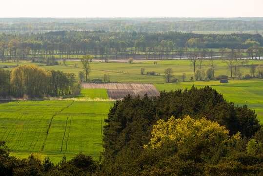 Widok na Wielkopolskę z wieży widokowej w Siekowie  / View of Wielkopolska from the observation tower in Siekowo