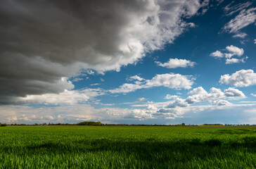 Fototapeta na wymiar Wieża wiertnicza na tle wiosenej łąki / Drilling rig against the background of a spring meadow