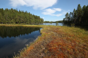 autumn landscape with lake