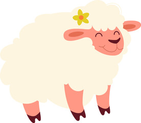 Sheep Domesticated animal