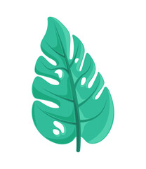 Green leaf tropic icon