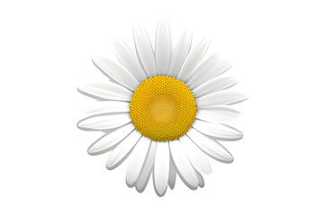 daisy icon isolated on white