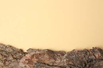 Tree bark piece on beige background, top view. Space for text