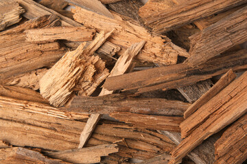 Many wood chips as background, closeup view
