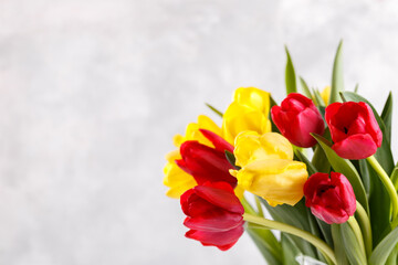 Yellow and red tulips