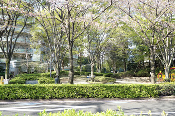 居木橋公園の風景