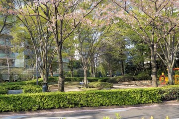 居木橋公園の風景