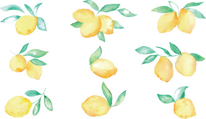 水彩画。夏の水彩タッチレモンベクターイラスト。夏のレモン挿絵。Watercolor. Summer watercolor touch lemon vector illustration. Summer lemon illustration.