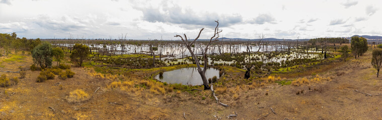 The vast landscape of the Winton Wetlands is a hauntingly beautiful forest made up of the hundreds...