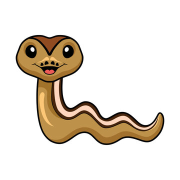 Cute cinnamon super stripe cartoon