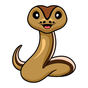 Cute cinnamon super stripe cartoon
