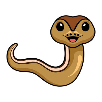 Cute cinnamon super stripe cartoon