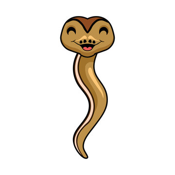 Cute cinnamon super stripe cartoon