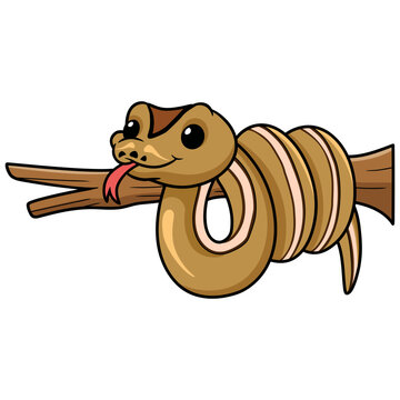 Cute cinnamon super stripe cartoon on tree branch