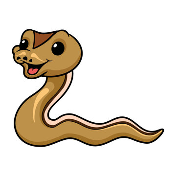 Cute cinnamon super stripe cartoon