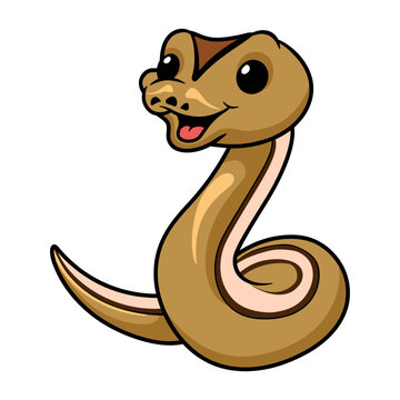 Cute cinnamon super stripe cartoon
