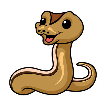 Cute cinnamon super stripe cartoon