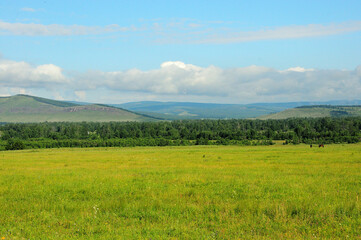 A wide grassy clearing on the edge of a strip of dense forest surrounded by high hills under a cloudy summer sky.