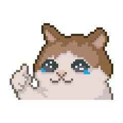 Cat with thumb up, pixel art meme © Judith R.S